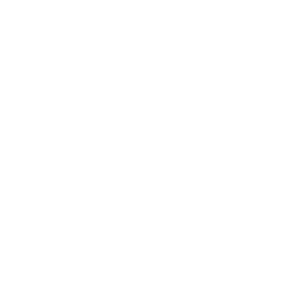 Sanctus Physiotherapy
