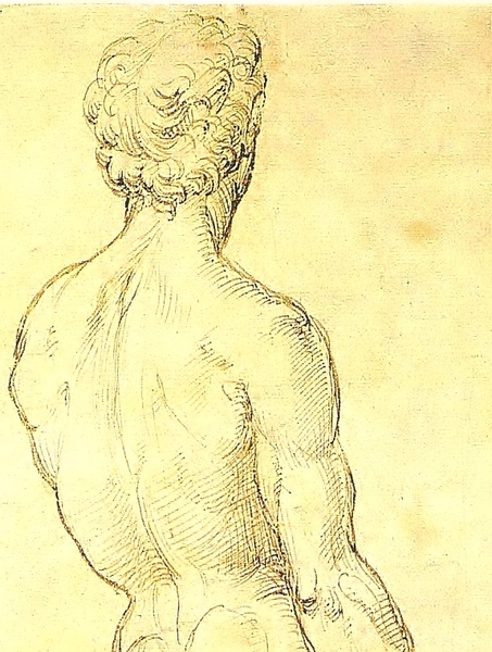 Rochester Chiropractic Centre Ltd