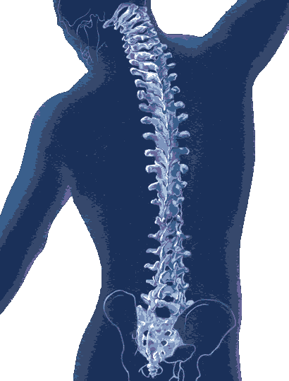 Worthing Osteopathic and Wellbeing Clinic