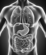 Book an Appointment with Colonic Hydrotherapy at Naxxar