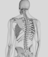 Book an Appointment with Digital Posture Analysis at Naxxar