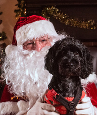 Book an Appointment with Santa Paws for Santa Paws