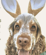 Book an Appointment with Easter Pet Photoshoot for Easter Pet Portrait