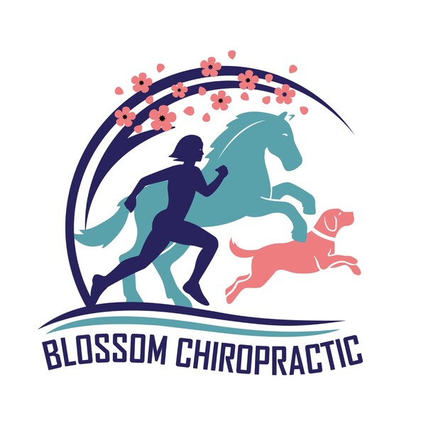 Blossom Chiropractic