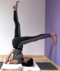 Book an Appointment with Veerle Dandoy for Yogales (klik op de foto om te boeken)