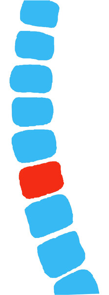 Back fit Chiropractic