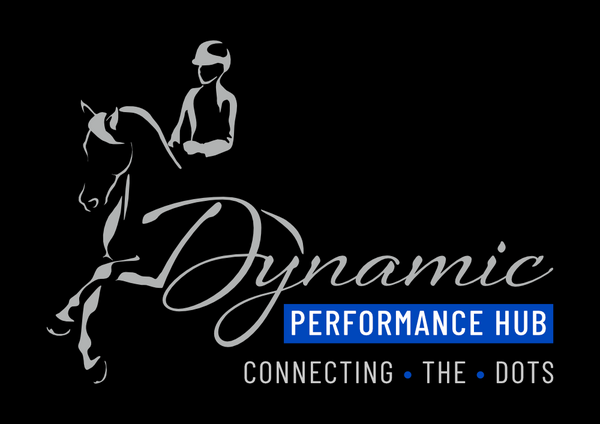 Dynamic Performance Hub 